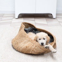 Vayana – Jute Pet Basket – Natural